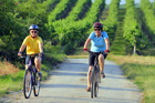 cyklisté na cyklovýletě v jižní moravě
